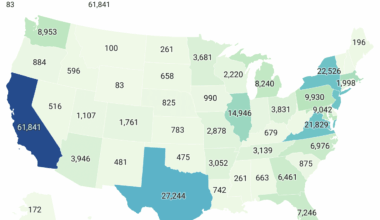 Approved H1-B visa beneficiaries as a percentage of total U.S-based employees by Company