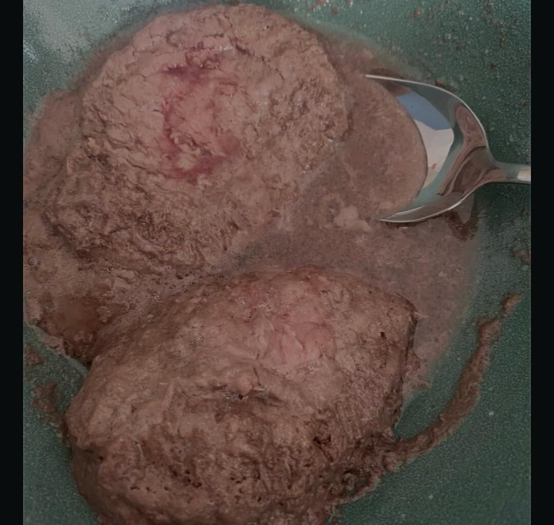 Mes steaks premachés de ce midi, désolé à ma mamie qui a manger ça (oui je premaches des steaks à ma mamie ,Elle n'a plus de dents)