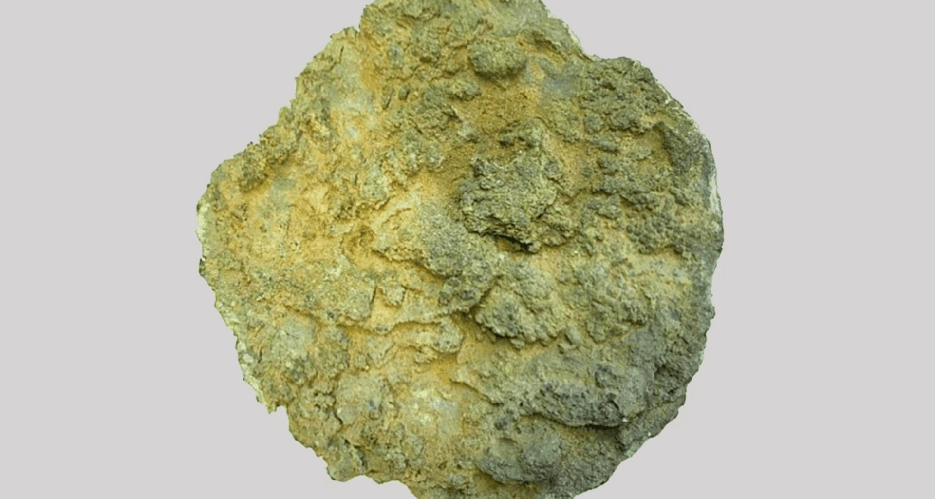 Hidden Iron Age Treasure Discovered In Sweden Rewrites History Of Early Trade
