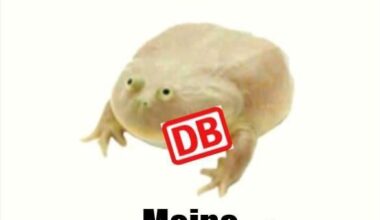 Ich🐸iel