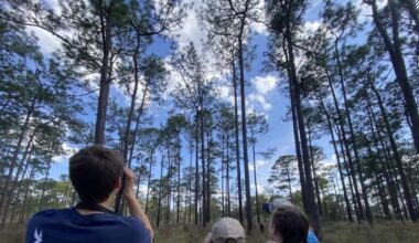 University of North Florida secures $1M endowment to boost environmental science programs – 104.5 WOKV