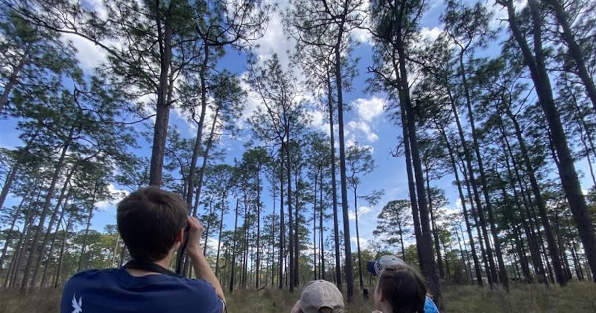 University of North Florida secures $1M endowment to boost environmental science programs – 104.5 WOKV