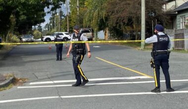 ‘Targeted incident:’ dog shot dead on central Nanaimo street | NanaimoNewsNOW