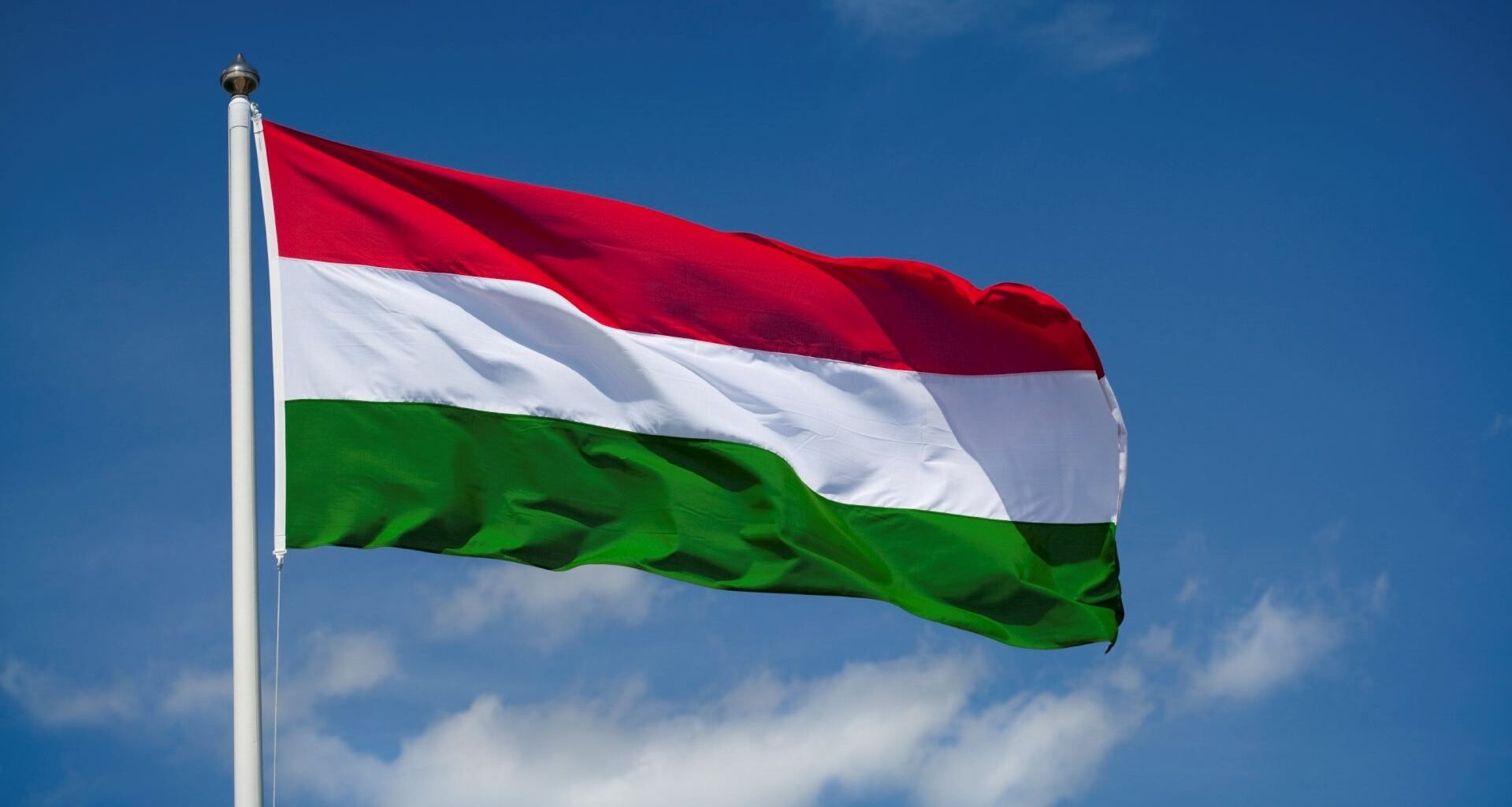 Hungarian universities see increase in number of international students
