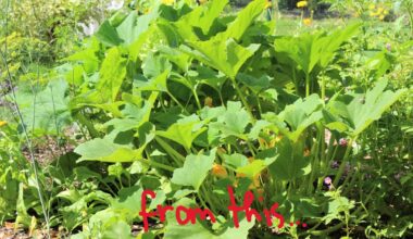 Bei uns wächst nichts mehr - warum?