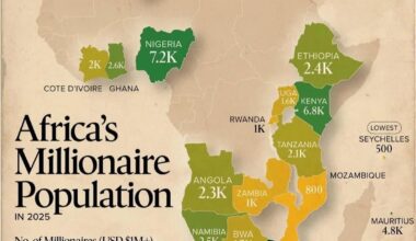 Africa's Millionaire Population in 2025