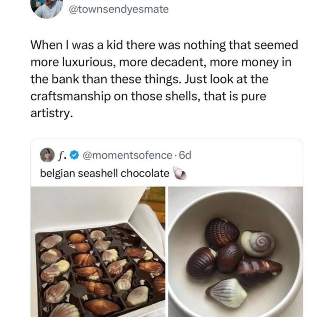 Belgian seashell chocolate