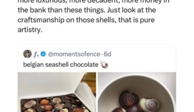 Belgian seashell chocolate