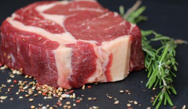 Meat is macho: Why masculinity concepts get in the way of green initiatives to cut meat and dairy consumption