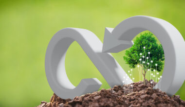 CSR concept tree with green economy