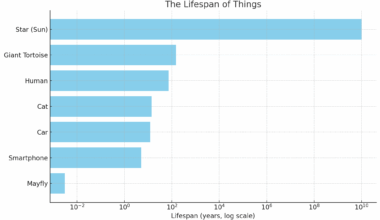 [OC] Lifespan of things