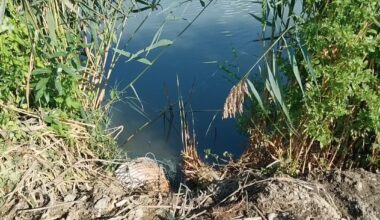 Vo Veľkom Šariši hynuli ryby pre nedostatok kyslíka v rybníkoch