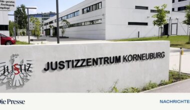 Mann zu sieben Jahren Haft verurteilt – DiePresse.com