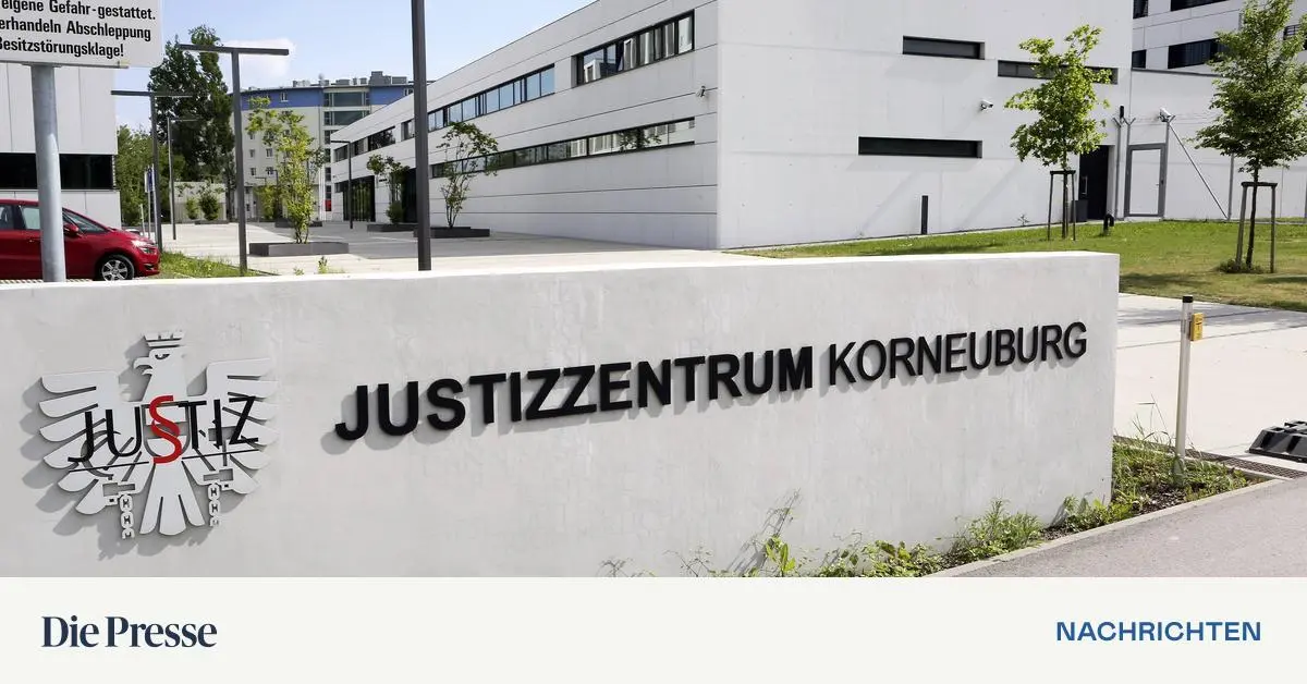 Mann zu sieben Jahren Haft verurteilt – DiePresse.com