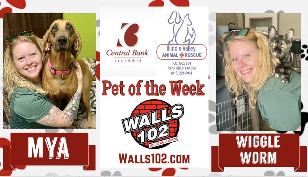 Central Bank IL Pets of the Week: Mya & Wiggle Worm!