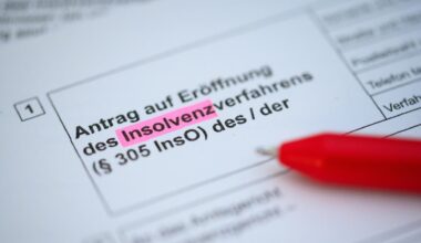 Ein Kugelschreiber liegt auf einem Antrag zur Eröffnung eines Insolvenzverfahrens.