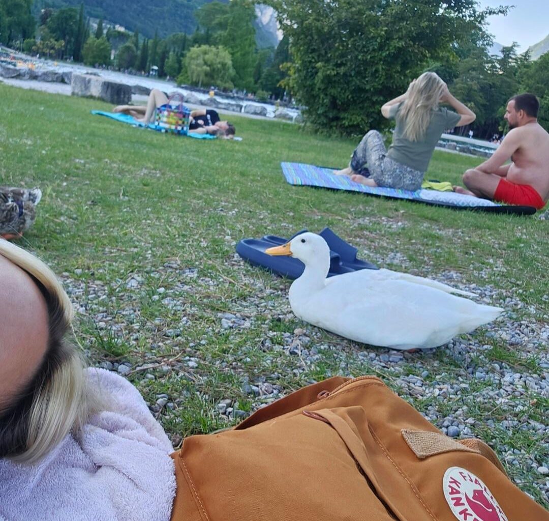 Habe mit einer Ente am Gardasee gevibed