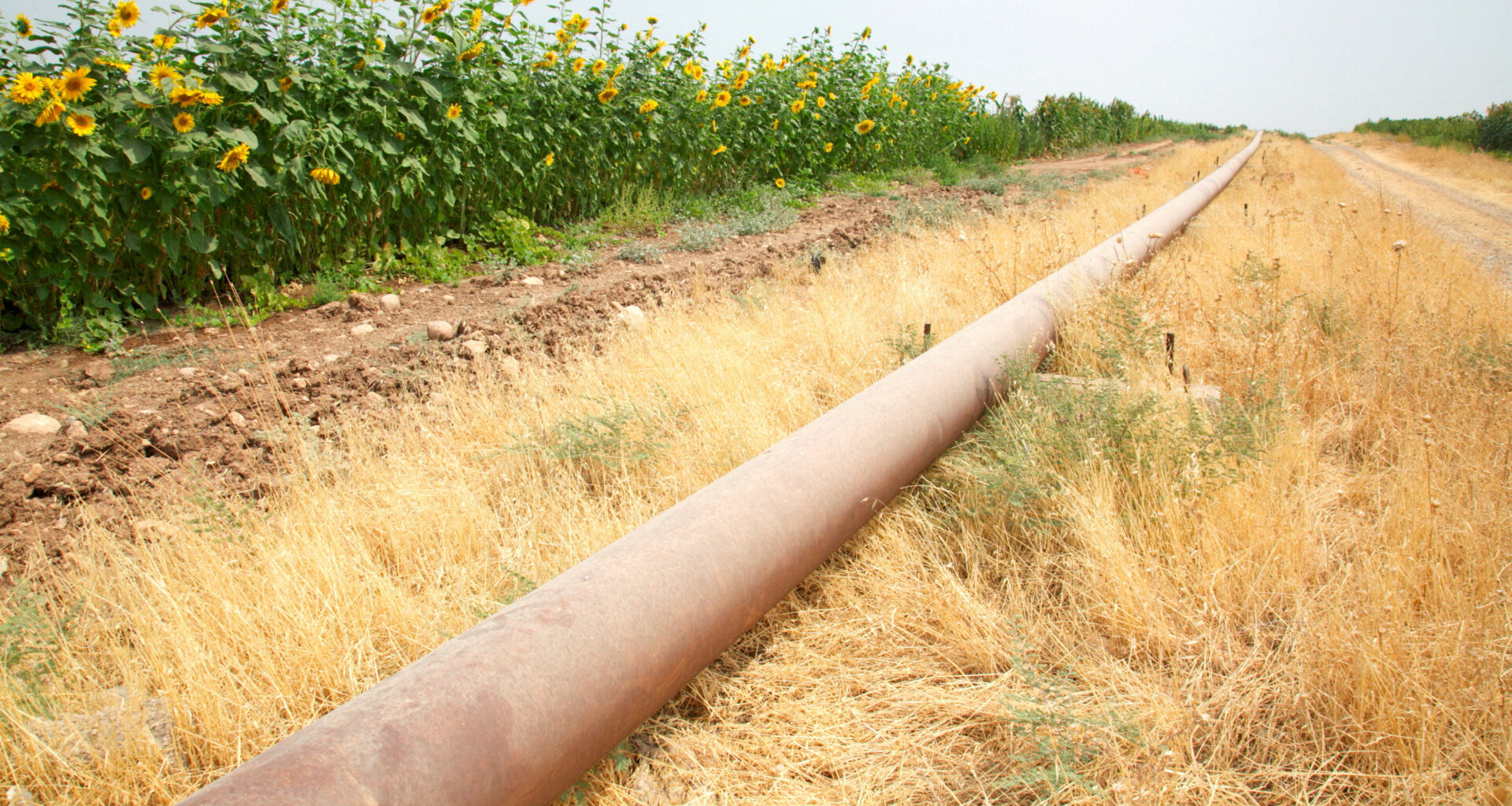 cover Iraq resumes Kurdish oil exports to Turkey after 2.5-year halt