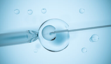 Romania is the only EU country without public IVF funding despite record-low birth rate