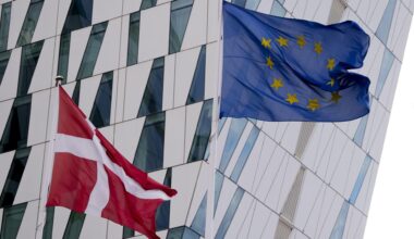 Massiv opbakning til borgerforslag mod EU-masseovervågning