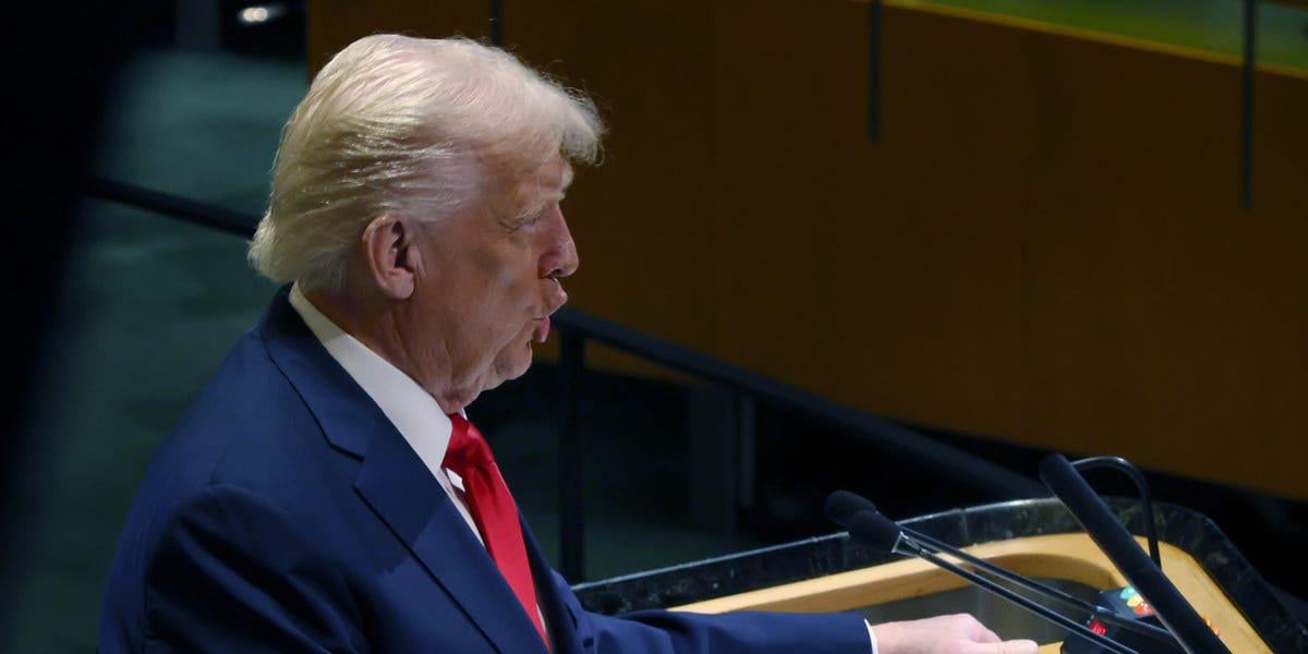 Bill McKibben:    The Stupidest Speech in UN History