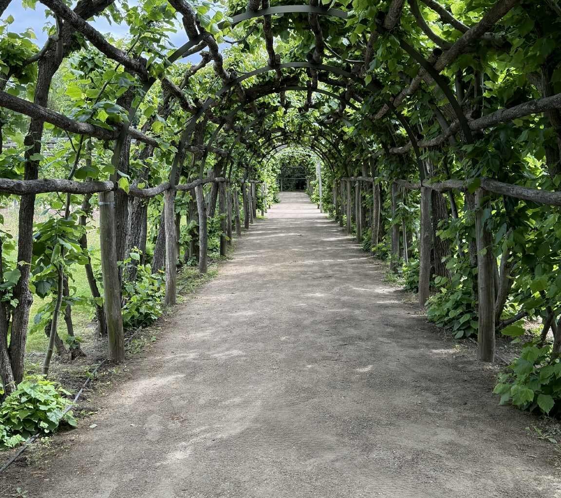 Bogen über Zufahrt.