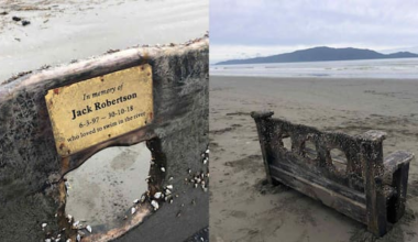 Memorial bench swept away in Tasman floods washes up on Kāpiti Coast