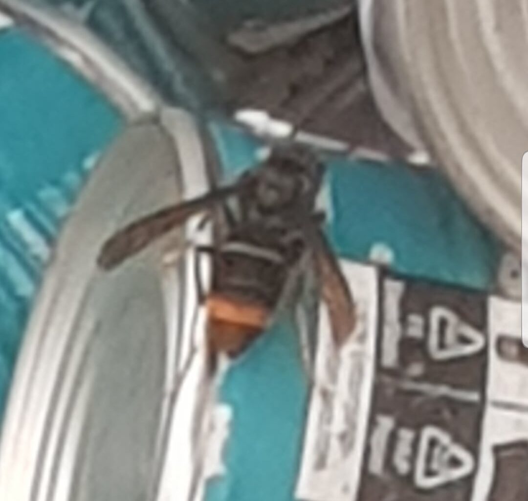 Sie ist da 🙄