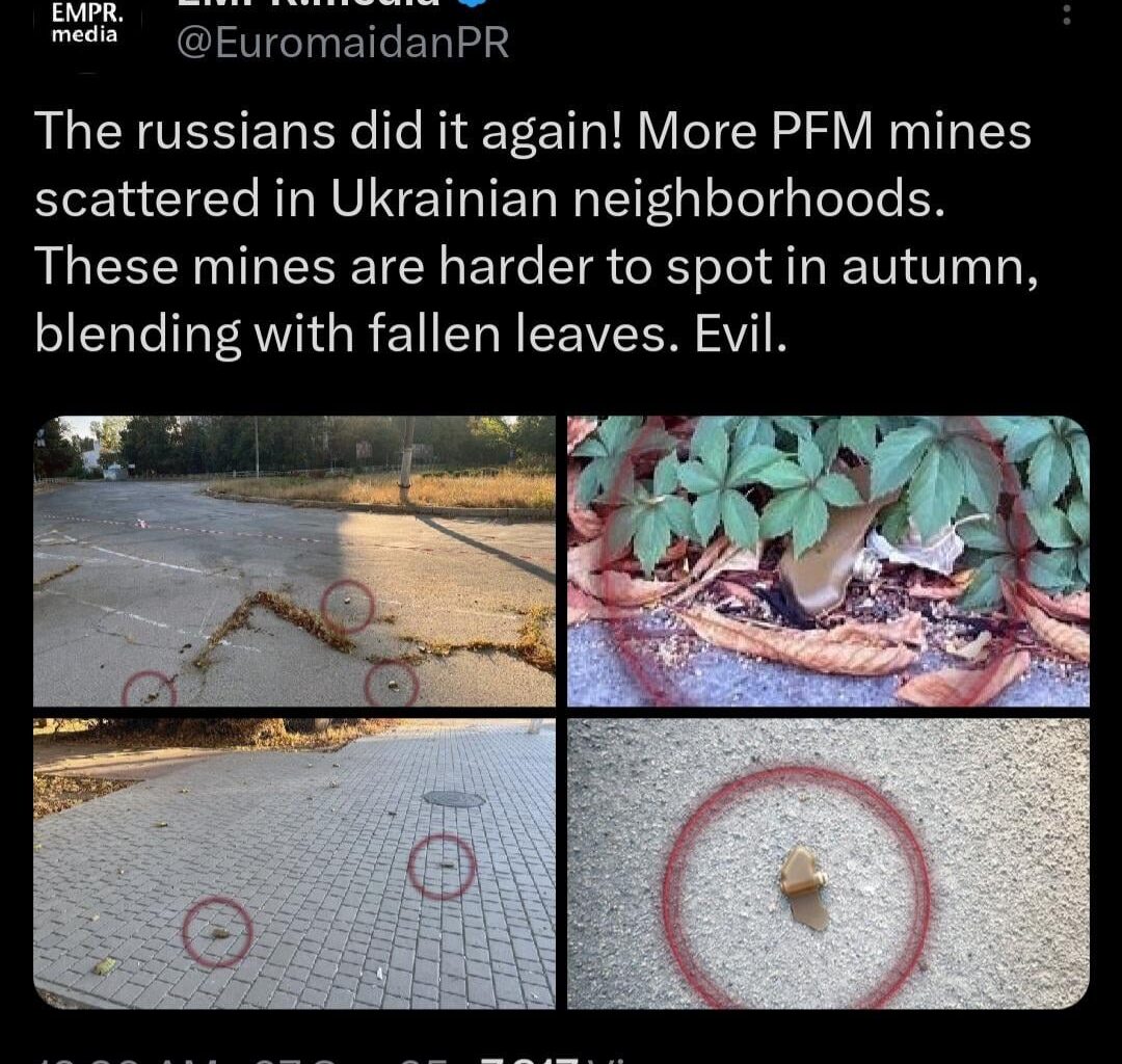 Russia in latest drone & missile attack dispersed anti person mines across the capital. Yet another war crime.