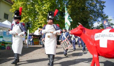 Une vache curieuse regarde passer le train des mousquetaires des Milices vaudoises, qui ont inauguré en grande pompe le 11e Festival Terroir Suisse samedi.