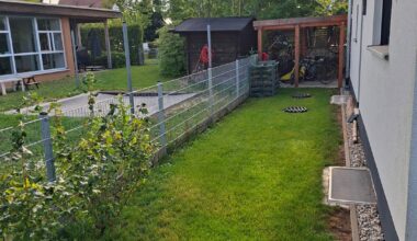 Pflanzideen für die Nordseite gesucht.