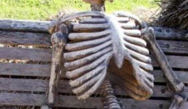 Their actions at the Ryder Cup have been embarrassing.