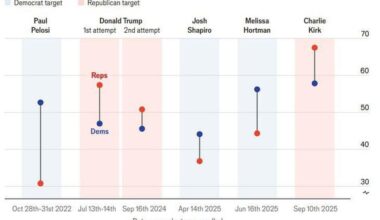 Polling data on US attitudes toward political violence