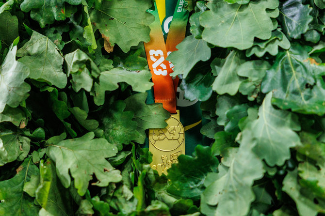 Eriko Ovčarenko / BNS nuotr./Krepšininkų sutiktuvės oro uoste