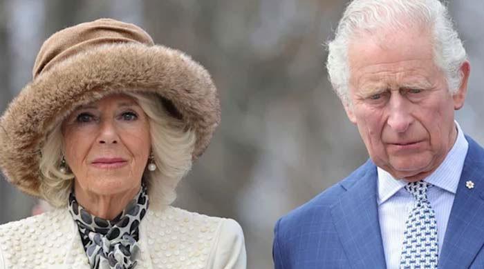 King Charles, Camilla marriage is 'for optics only' amid health battle, says insider