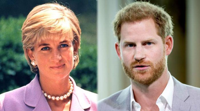 Princess Diana's butler says Harry's not the man she hoped he'd become