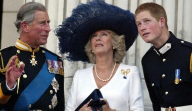 Prince Harry leaves King Charles in 'tricky position' regarding William, Queen Camilla