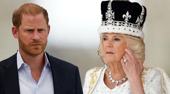 Queen Camilla sends Prince Harry a message after King Charles meeting