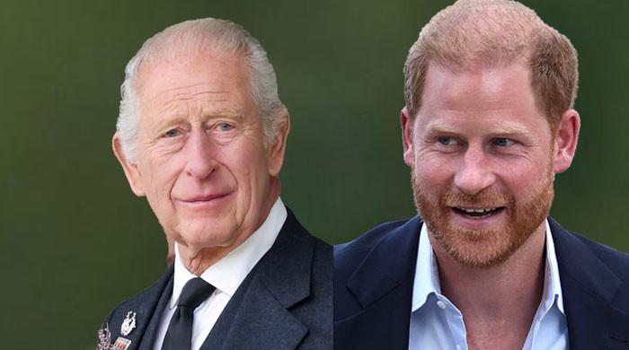 Prince Harry, King Charles' new joint appearance: Everything to know