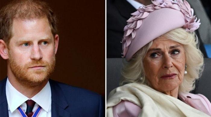Prince Harry turns into Queen Camilla's biggest fear: ‘Terrible consequences follow him!'