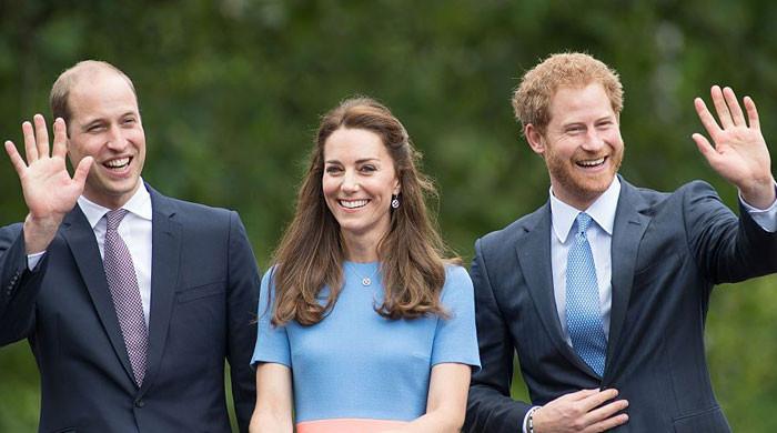 Kate Middleton subtly shows support to William amid ongoing rift with Harry