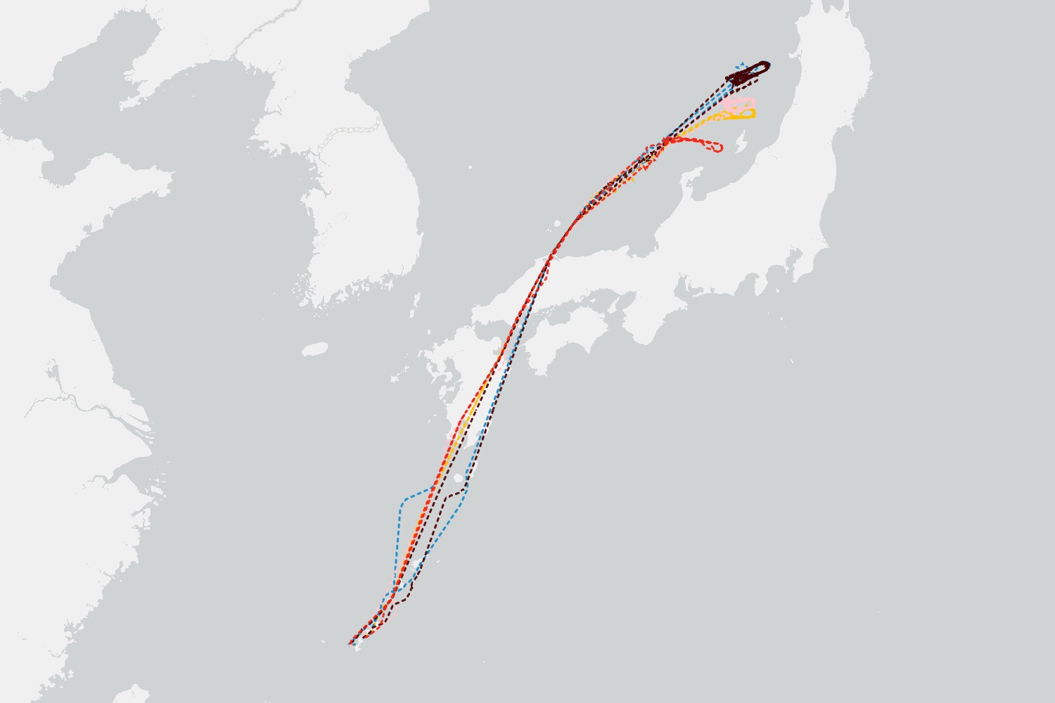 Flight Map Shows US Watch for Possible North Korea Missile Launch