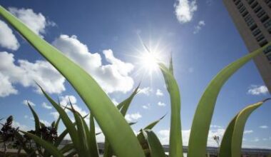 DaVita Marks Major Milestone in 100% Renewable Energy Commitment