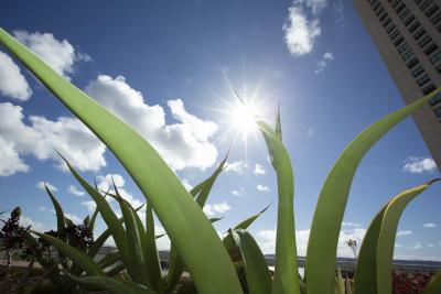 DaVita Marks Major Milestone in 100% Renewable Energy Commitment