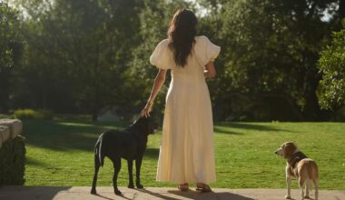 Meghan Markle Poses with Dogs in Backyard Snap Featuring Brand Logo Inspiration