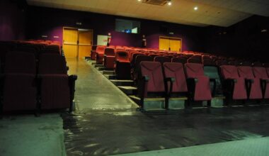 Cinema closure - The Portugal News