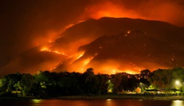 Wildfires Were A Major Contributor To Air Pollution In 2025 - Highlighting “Vicious Cycle” Of Warming