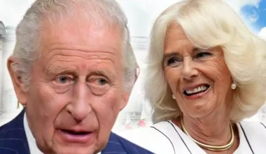 Logo Catalunya Diari EN