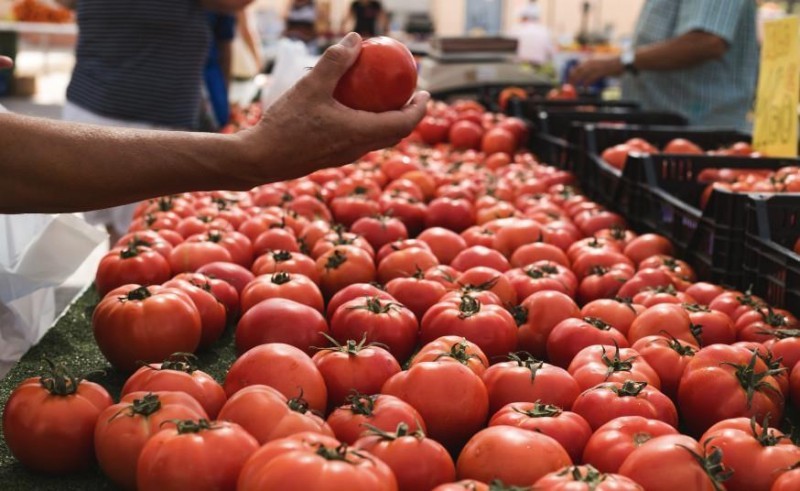 Morocco’s Tomato Exports to the EU Jump 40% in Ten Years