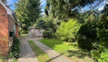 Vor dem Bambus des Nachbarn eine Hecke pflanzen… Aber welche?